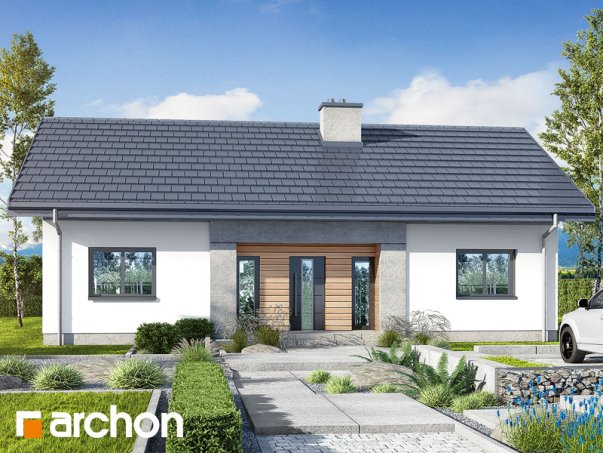 Проєкт будинку Будинок у вівсянниці 4 - Одноповерхові дома в Україні