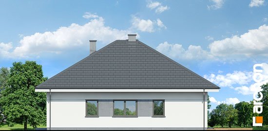 Проект дома Дом в хакетиях 3 - 4 Одноэтажные дома в Украине