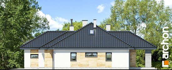 Проєкт будинку Будинок в акебіях 5 - З мансардним поверхом дома в Україні