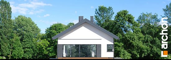 Проект дома Дом в пеперомиях 5 (Г2) - 5 Одноэтажные дома в Украине