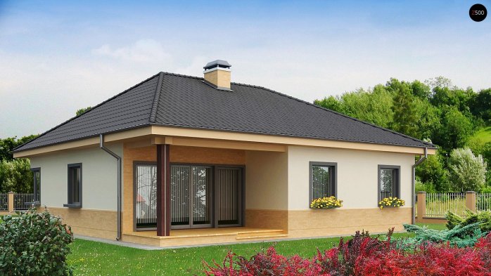 Проєкт будинку U24 - Одноповерхові дома в Україні