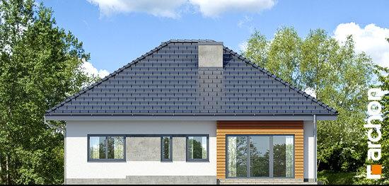 Проєкт будинку Будинок в бузку 2 (В) - Одноповерхові дома в Україні