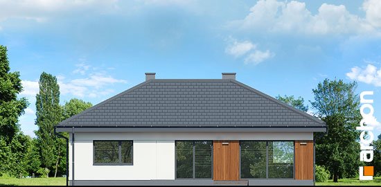Проєкт будинку Будинок у липниках 2 - Одноповерхові дома в Україні