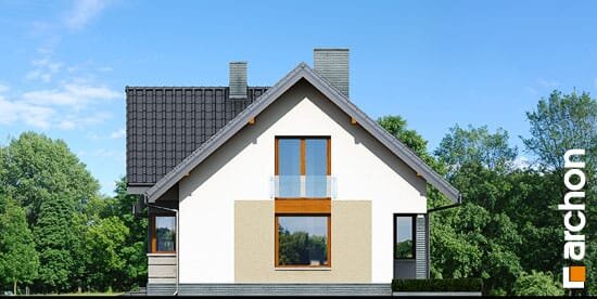 Проект дома Дом в спатифиллуме вер.2 - 4 С мансардным этажом дома в Украине