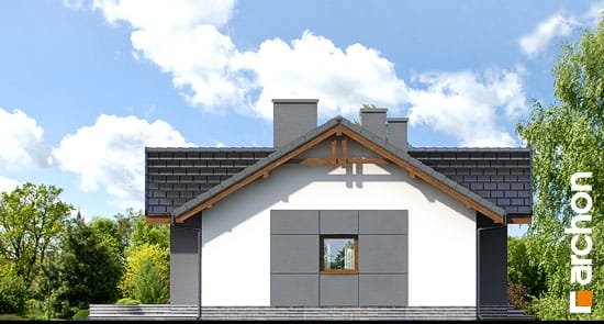 Проект дома Дом в неринах вер.2 - 5 Одноэтажные дома в Украине