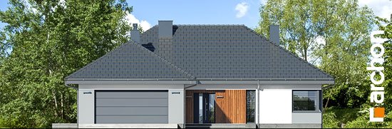 Проєкт будинку Будинок в арівах (Г2) - Одноповерхові дома в Україні
