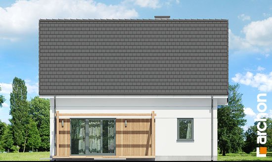 Проєкт будинку Будинок в хлорофітумі вер.3 - З мансардним поверхом дома в Україні