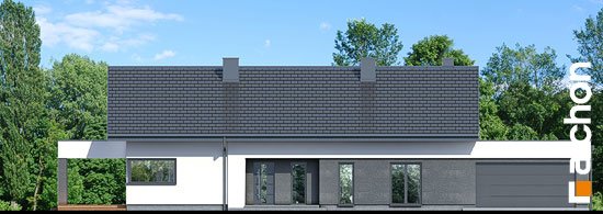 Проект дома Дом в пеперомиях 5 (Г2) - 3 Одноэтажные дома в Украине