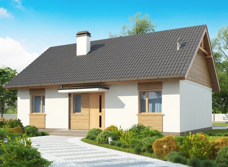 Проєкт будинку U313