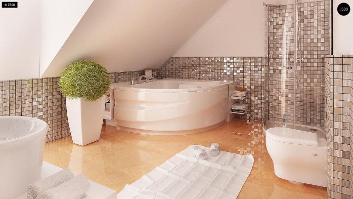 Проєкт будинку U263 - З мансардним поверхом дома в Україні