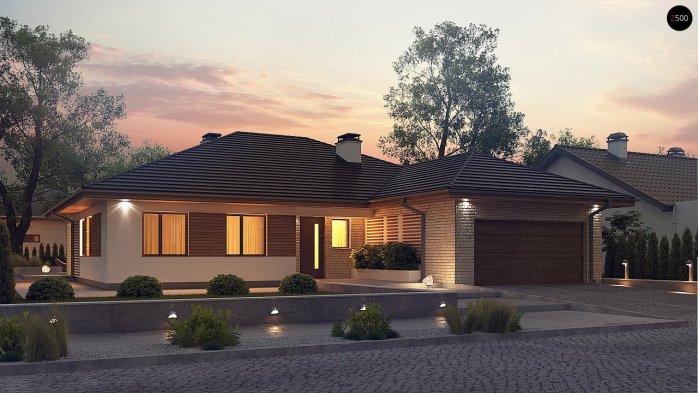 Проєкт будинку U301 - Одноповерхові дома в Україні