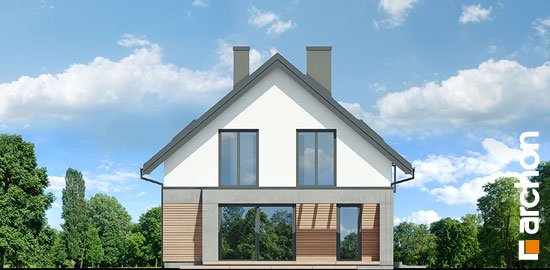 Проєкт будинку Будинок в мандевілі 2 - З мансардним поверхом дома в Україні