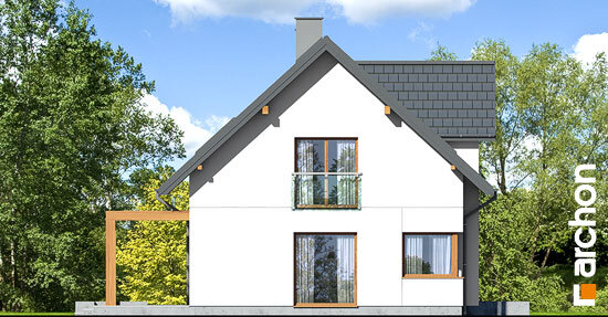 Проєкт будинку Будинок в люцерні 9 - З мансардним поверхом дома в Україні