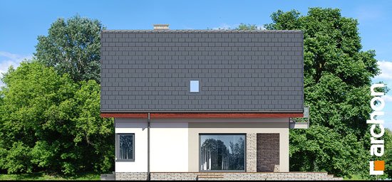 Проект дома Дом в амброзиях - 5 С мансардным этажом дома в Украине