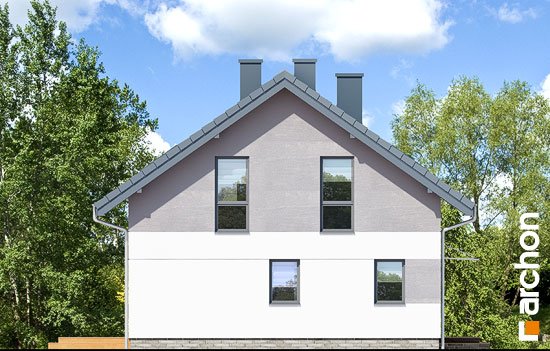 Проєкт будинку Будинок в аркадії - З мансардним поверхом дома в Україні