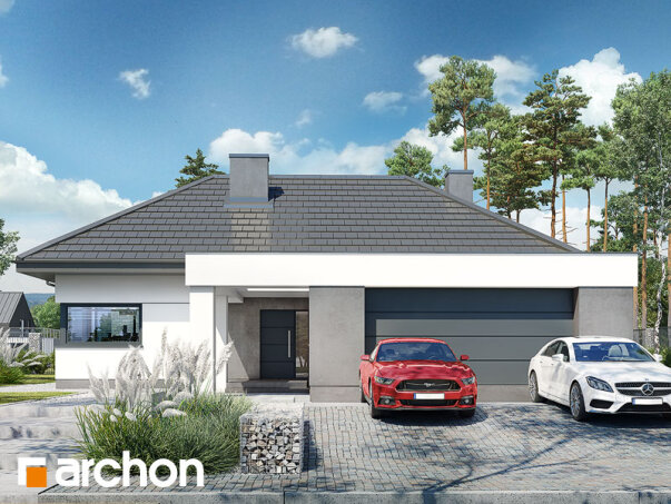 Проєкт будинку Будинок в жимолості 2 (Г2) - Одноповерхові дома в Україні