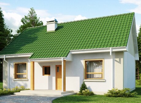 Проєкт будинку U12