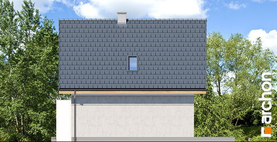 Проєкт будинку Будинок на пагорбі (Н) - З мансардним поверхом дома в Україні