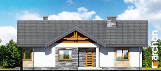Проект дома Дом в лещиновнике 2 - 3 Одноэтажные дома в Украине