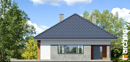 Проєкт будинку Будинок в бузку 2 (В) - Одноповерхові дома в Україні